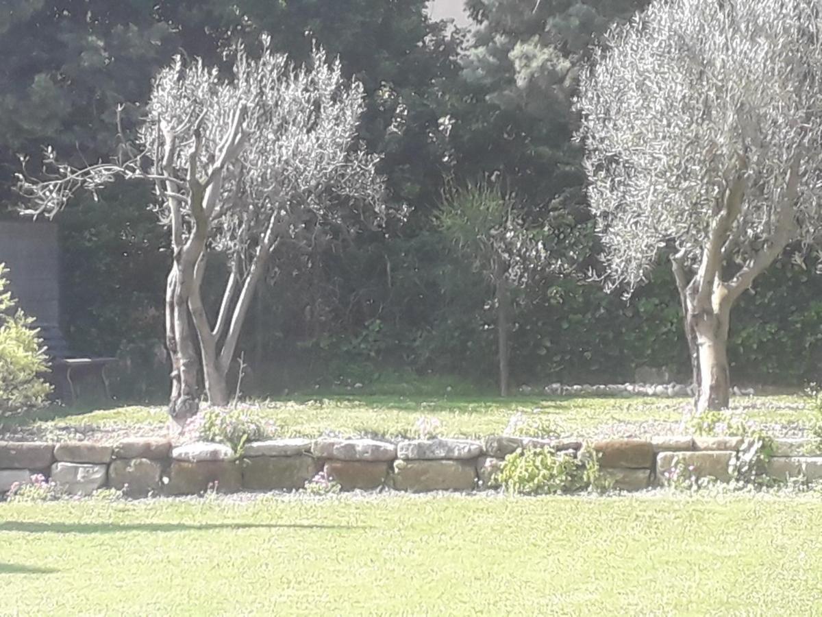 Mas" La Maison De Mon Pere " Proche Avignon A Pujaut Bagian luar foto